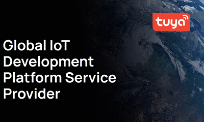 Global IoT Development Platform Service Provider