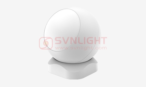 PIR Motion Detector